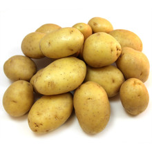 Golden Potato (pack 5 LBs)