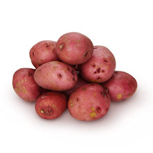 Red Potato 1 LB