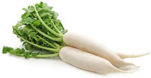 Daikon Radish  1 LB