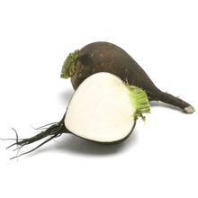 Black Radish 1 LB