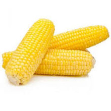 Corn (2 counts)