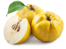 Quince 1 LB