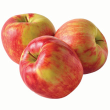 Apple HoneyCrisp  LB