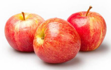 Apple Gala LB