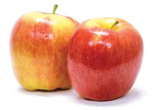 Apple Ambrosia LB