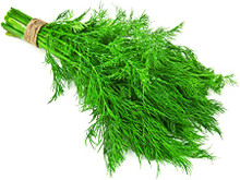 Dill ( bunch)