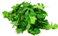 Cilantro  ( bunch)