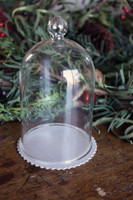 WB016 - Glass Dome