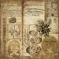 PA421 Glamour & Grunge " Nature Study"