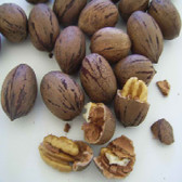 Nuts Shelled Pecans Usa (1x5LB )