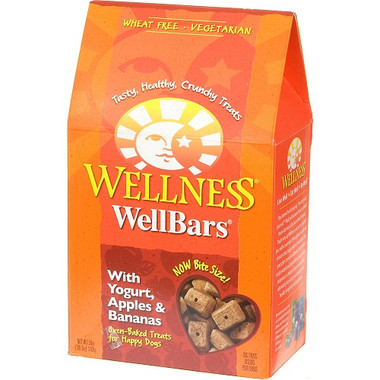 Wellness Wellbars Fruit & Yogurt (6x20Oz)
