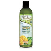 Conceived By Nature Moisturizing Citrus Shampoo (1x11.5 Oz)