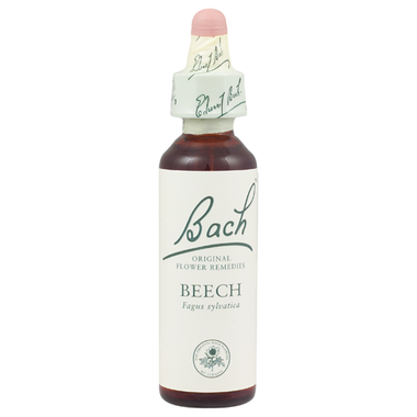 Bach Beech (1x20 ML)