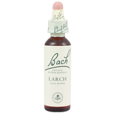 Bach Larch (1x20 ML)