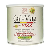 Baywood Cal Mag Fizz Powder Lemon-Lime Flavor (1x492 Gram)