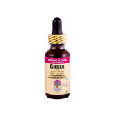 Nature's Answer Ginger Root Extract 1 fl Oz