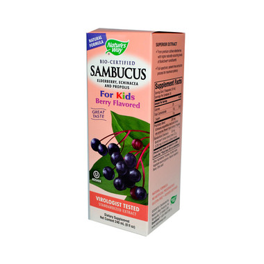 Nature's Way Original Sambucus for Kids Standardized Elderberry (8 fl Oz)