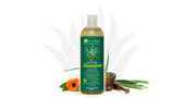 Real Aloe Inc. Shampoo Aloe Vera Mild (16 fl Oz)