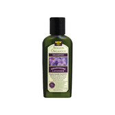 Avalon Shampoo Trial Refill Lavender (24 Pack) 2 Oz