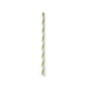 Susty Party Green Paper Straws (4x50CT)