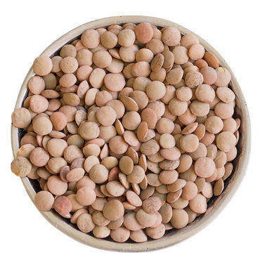 Beans Og1 Brown Lentils (1x25Lb)
