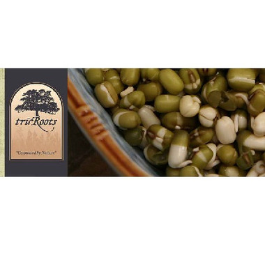 TruRoots Sprouted Mung Beans (1x15lb)