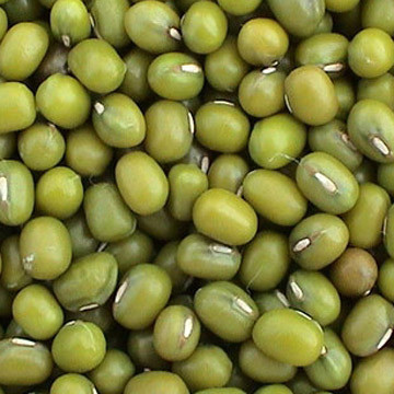 Beans Beans Mung Usa (1x25LB )