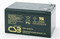CSB EVH 12150 F2 - EVH12150 SLA AGM Battery - 12 Volt 15.0AH