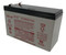 Data Safe NPX-35T Battery by Enersys (.250" Fast On Tabs)