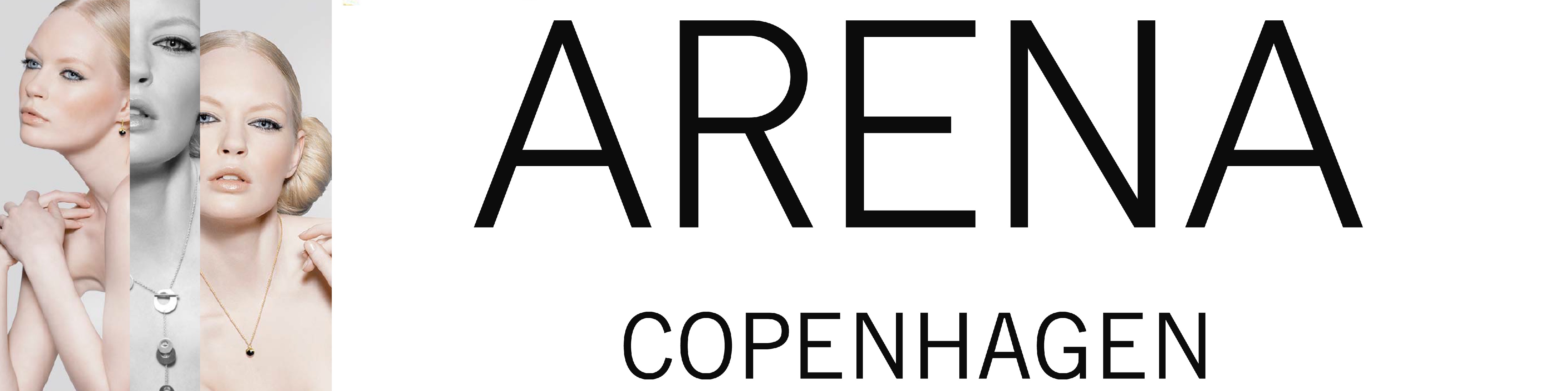 arenacopenhagen.jpg