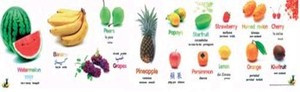 Poster: Fruit (Multilingual)
