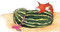 Buri and the Marrow (Chinese-English)
