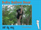 Baby Beboo Bear (Bengali-English)