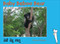 Baby Beboo Bear (Malayalam-English)