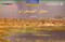 National Geographic: Level 17 - Desert Rain (Arabic-English)