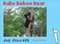 Baby Beboo Bear (Kannada-English)