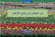 Level 14 - From Field to Florist (Arabic-English)