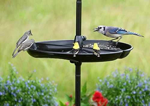 Brome Squirrel Buster Plus Squirrel Proof Feeder W Weatherguard