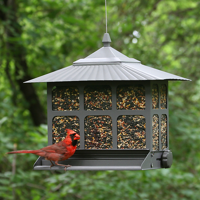 Woodstream 338 12 Lb Capacity Red Squirrel Be Gone Feeder Patio