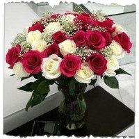 Red And White Rose Bunch 12