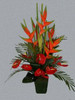 Note that this choice will come wrapped in paper and not in a pot. If you would like your flowers presented in a pot there is the option of this as Heliconias and Anthirium in a pot. 