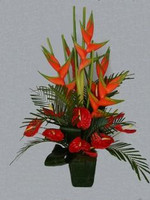 Heliconia And Anthurium In A Pot
