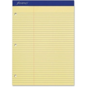 Ampad Perforated 3HP Ruled Double Sheet Pads - 3