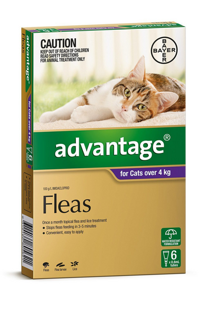 Advantage Flea treatment for cats over 4kg 6 pack (6 x monthly treatments)