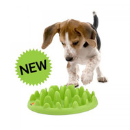 Green, Interactive Slow Food Bowl for Dogs