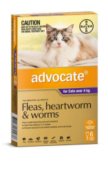 Advocate for Large Cats over 4kg 6 pack | Love A Pet