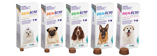 Bravecto - 3 month's flea & tick protection in a single tasty chew!