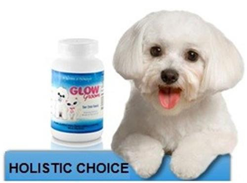 Angel powder outlet for dogs