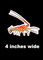 4 inch Spiny Lobster a sticker 