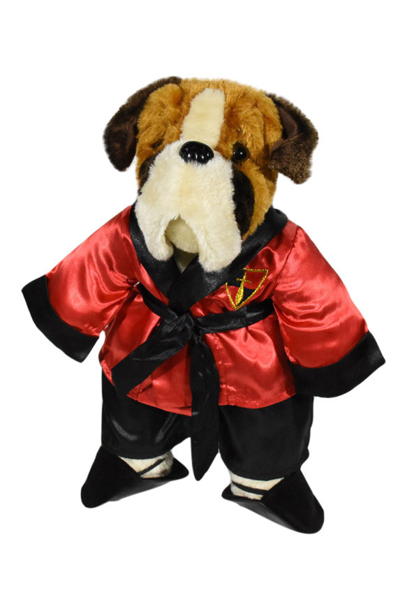 dog silk robe